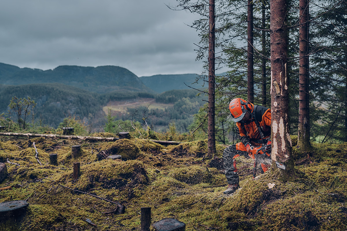Husqvarnas alla motorsågsserier – En hjälpande guide