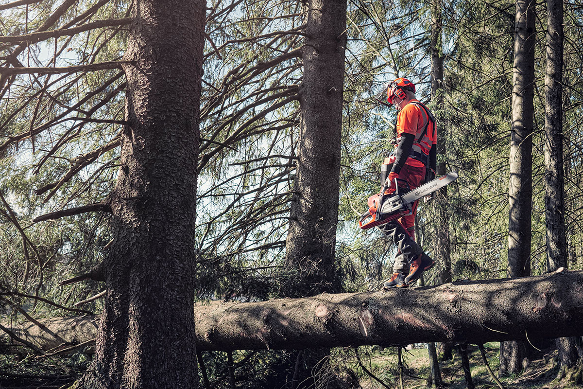 Köpguide: Motorsåg – Så väljer du rätt modell
