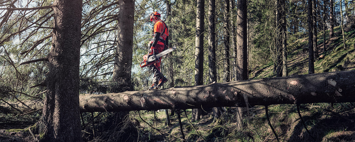 Köpguide: Motorsåg – Så väljer du rätt modell