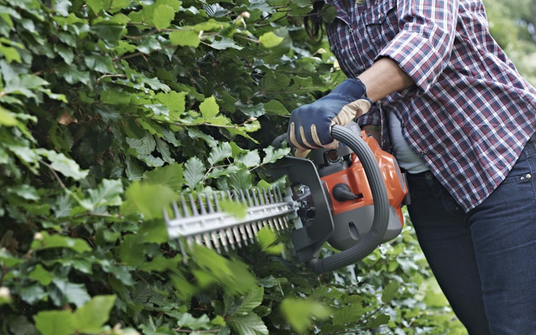 Trädgård_guide_vår26_häcksax_1200x800