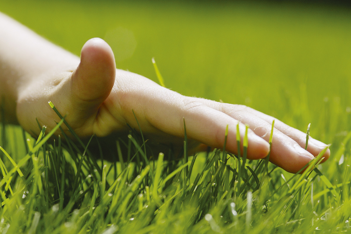 Trädgård_guide_vår26_gräs_1200x800