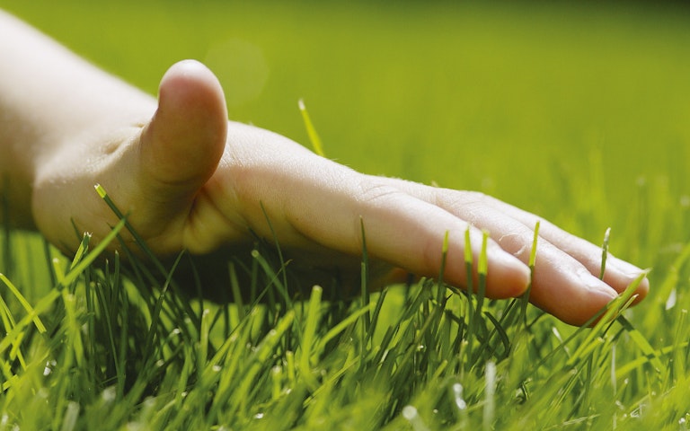 Trädgård_guide_vår26_gräs_1200x800